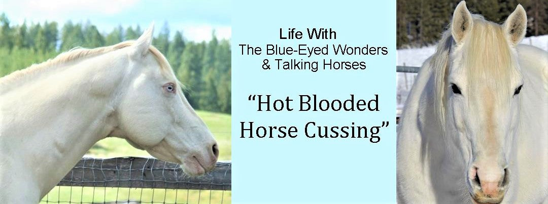 Talking Horses and Hot Blooded Horse Cussing